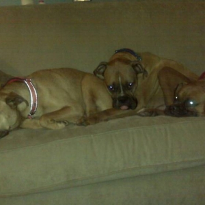 Hear No Evil, See No Evil, Speak No Evil