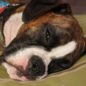 Wiped Out