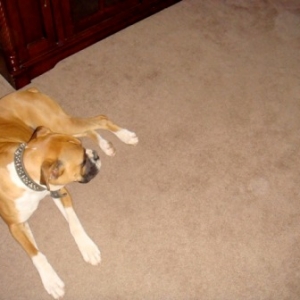 Rocky 12/20/08