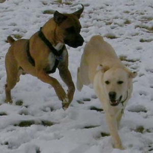 Playin in the snow...