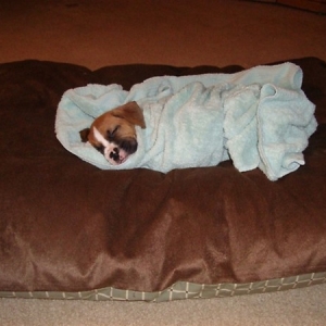Baby Bruno After his Bath