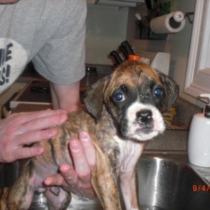 Bentley's 1st Bath