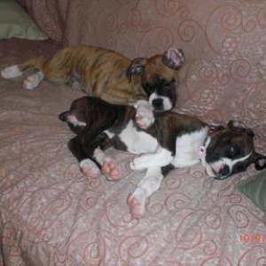Sleeping Babies