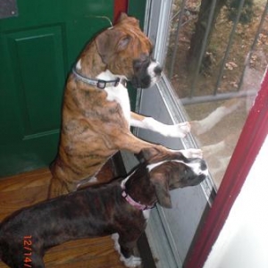 Looking out the window