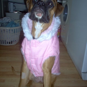 maggie new coat