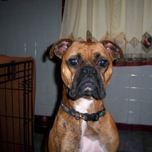 n1453926429_142142_1399