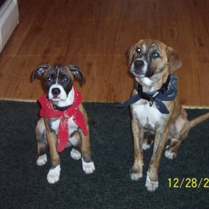 Bella and Max BFF's