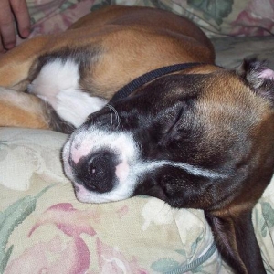 So Sleepy