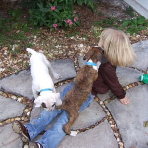 Attack of the puppies!