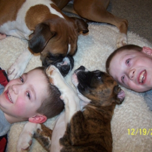 All my babies