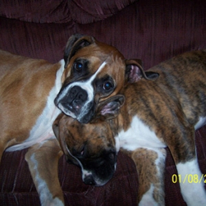 Star loves her little brother Tyson