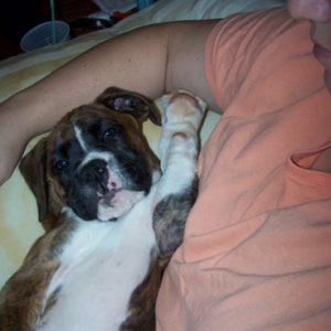 Tyson living the good life!