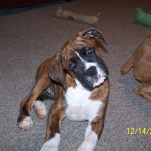 Tyson posing for a picture