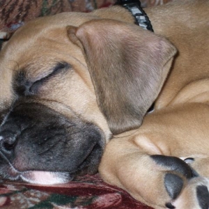 Chaos sleeping