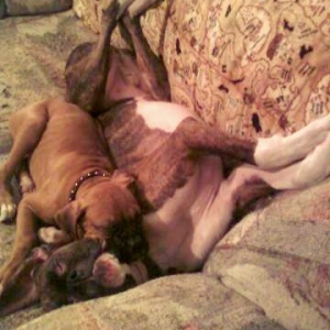 snoozing