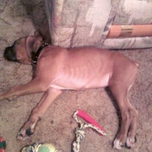 too much playing