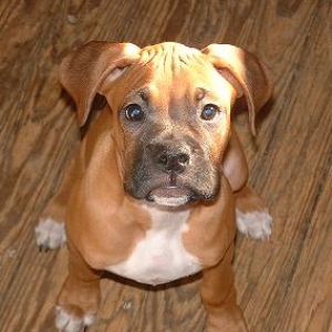 You Talkin To Me??