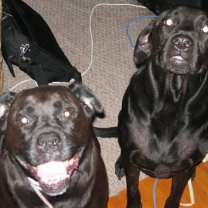 Lucie and D-Ohgie Smiling