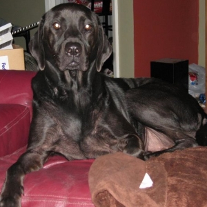 D-Ohgie Posing for the camera