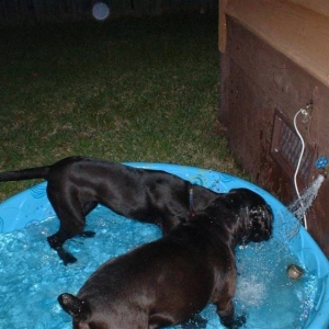Lucie teaches D-Ohgie how to argue with the water spicket