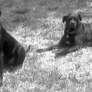 My Girls
