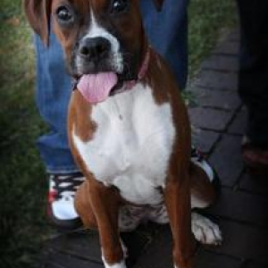 Check out that tounge