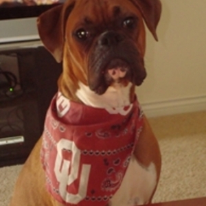 Our big boy is almost a year