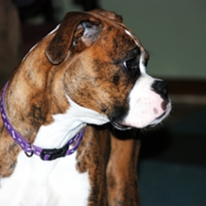 Sadie41