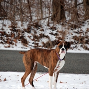 Sadie51