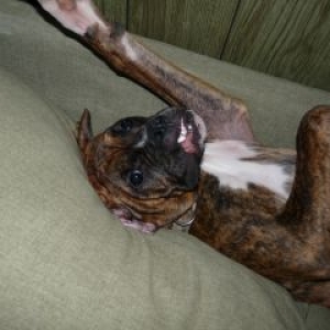 Leave me alone!!