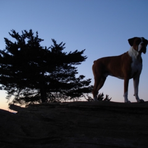 Riley at Douglas preserve
