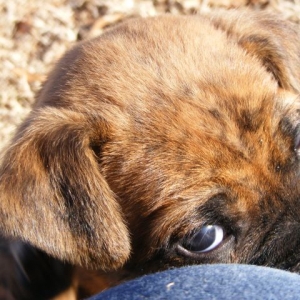 I see you..