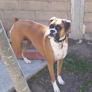 Samantha_3_Years_7_Months_Old