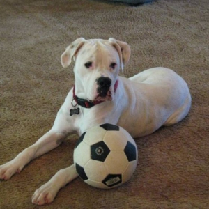 Tucker with his ball