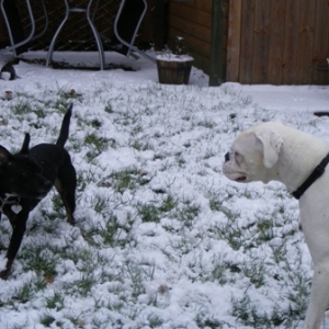 Playing in the snow 4