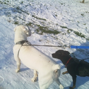 Walking in the snow