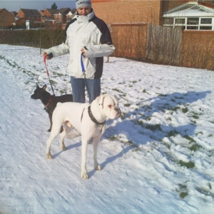 Walking in the snow 2