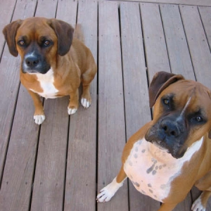 Jesse & Maya