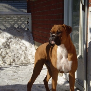 cain3