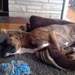 Sally_s_Nap_1-28-09