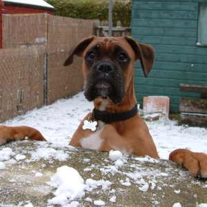 first sight of snow
