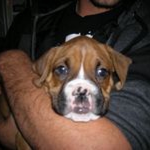 Hurley