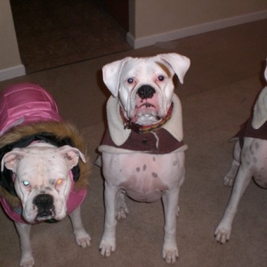 Winter coats...
