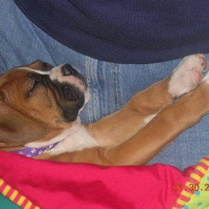 snoozing3