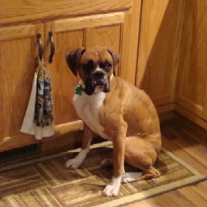 Leah in Kitchen