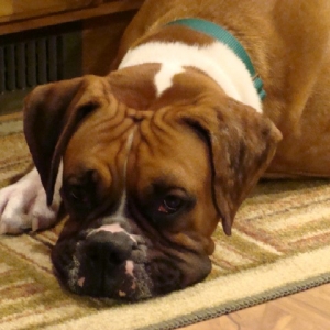 The sad face I make all the time