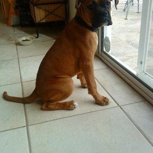Layla Hungry