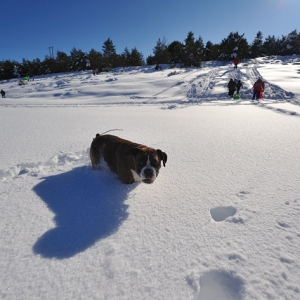 snow