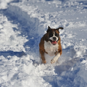 snow plough