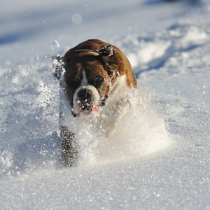 Coming through